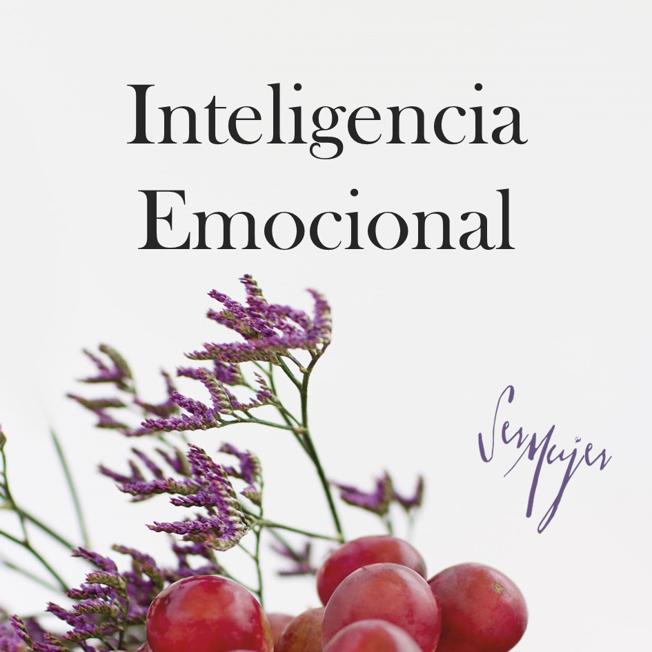 Libro + Curso: Inteligencia Emocional Presencial