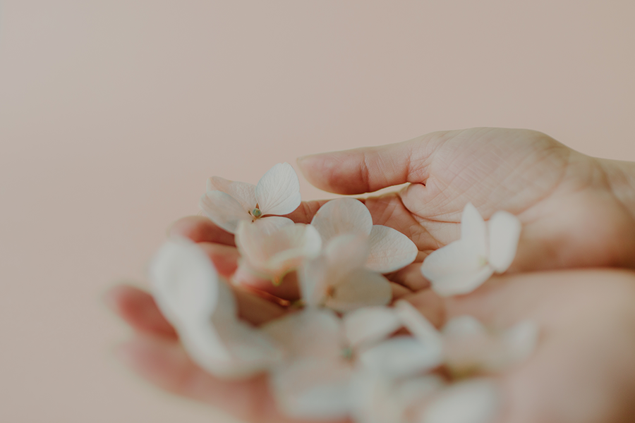 Libro + Curso: Ser Madre