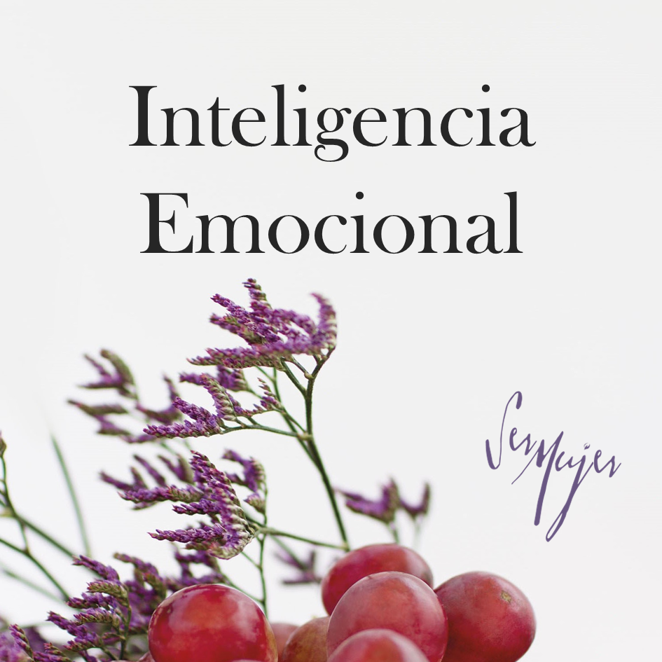 INTELIGENCIA EMOCIONAL / PRESENCIAL - 16/04