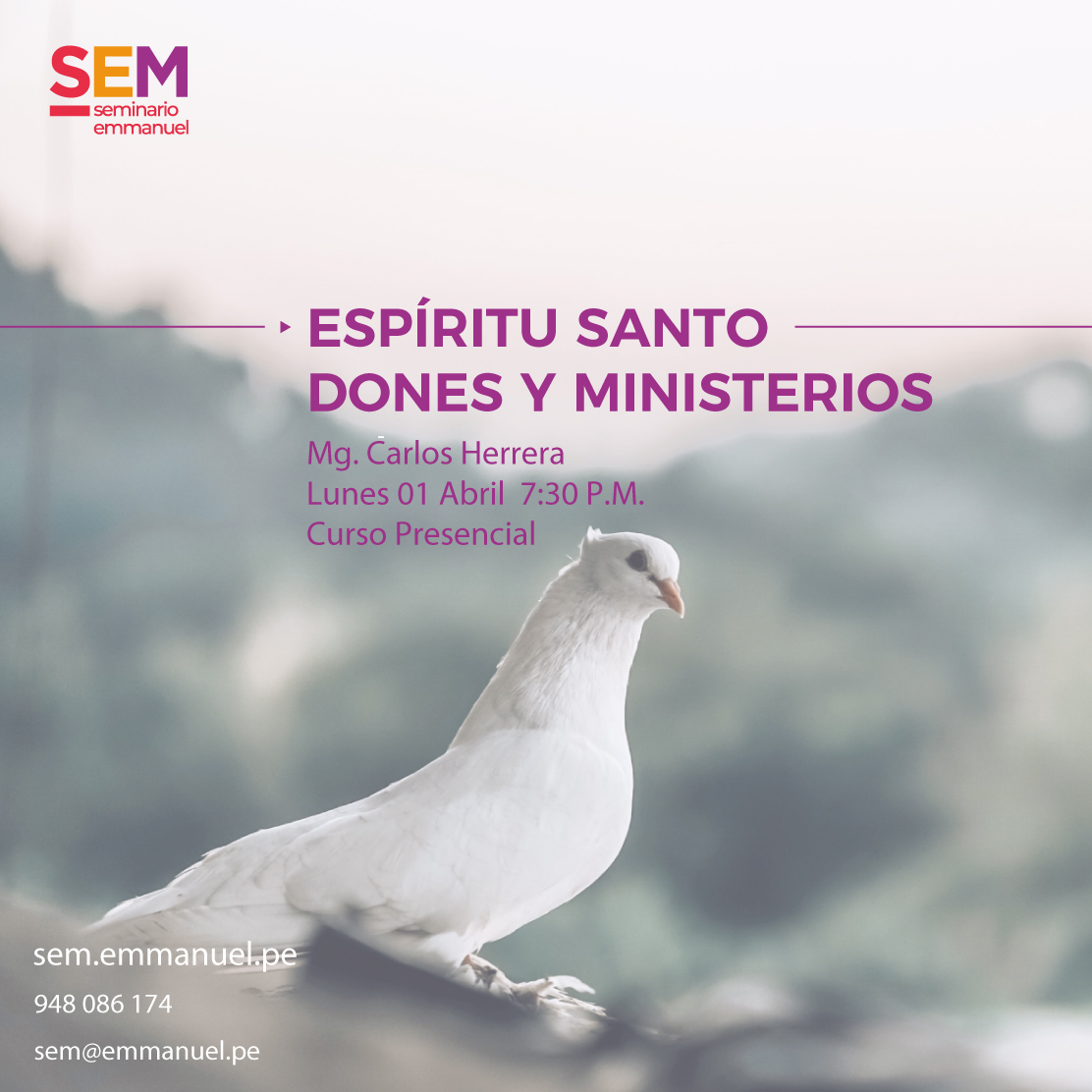 ESPÍRITU SANTO / DONES Y MINISTERIOS