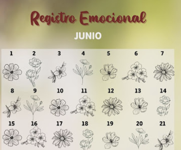 Registro Emocional Noviembre