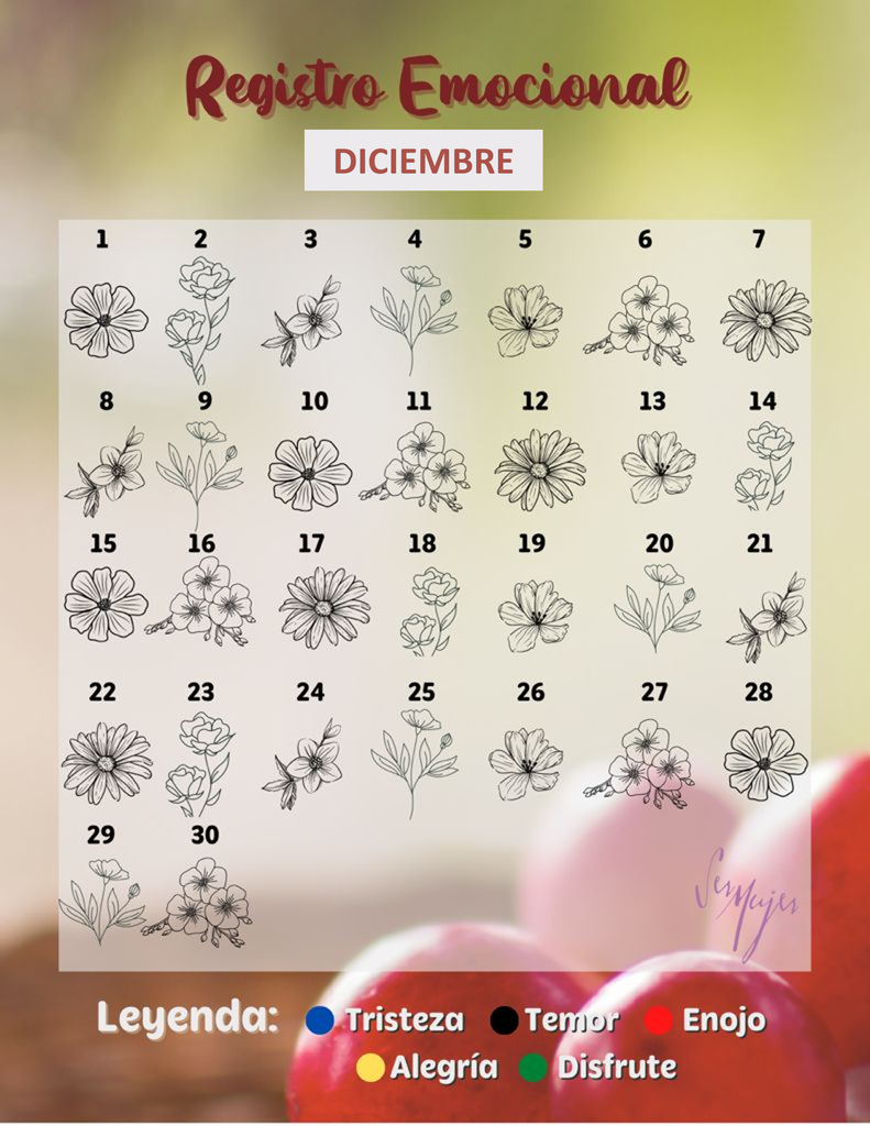 Registro Emocional Diciembre