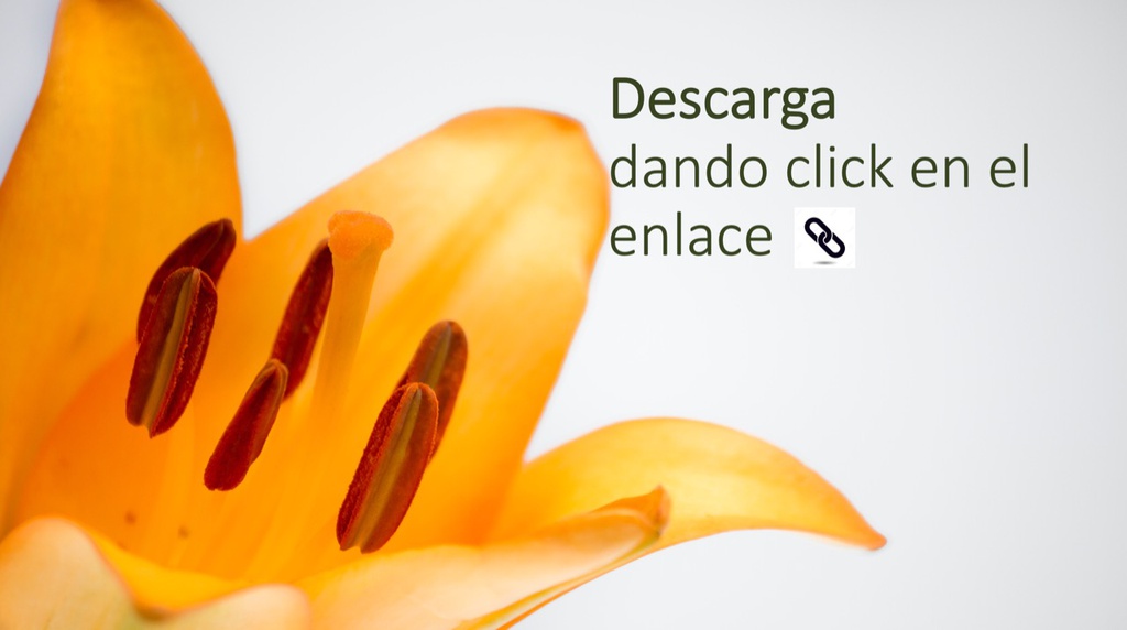 Carta a Mamá